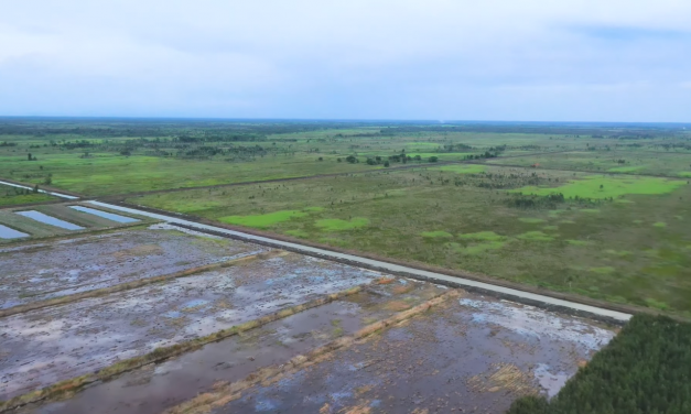 Ramai-Ramai Menentang Food Estate