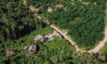 Tinjauan Kritis Problematika Hutan Adat : Bagaimana Nasib Masyarakat Adat ?